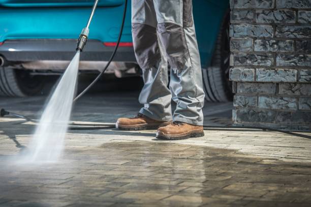 Best Pre-Holiday Cleaning  in Malone, FL